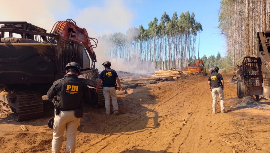 Ataque incendiario en Mulchén: sujetos destruyeron maquinaria y vehículos en el fundo Santa Rosa