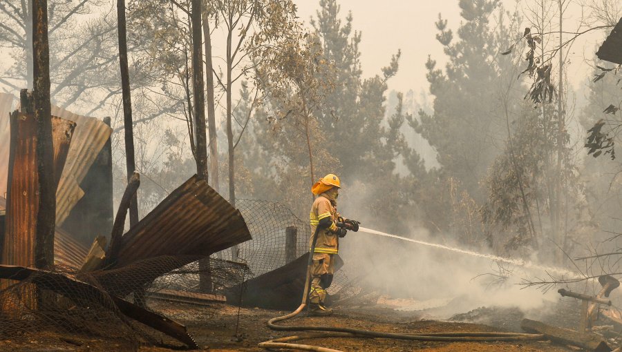 Bomberos de Chile confirmó fallecimiento de voluntaria de Coronel en medio de combate de incendio forestal en Santa Juana