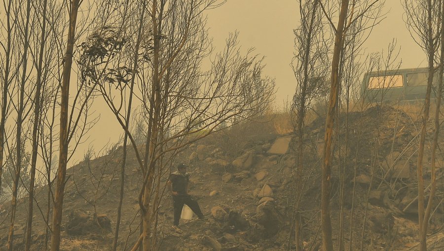 Incendios forestales: Piden evacuar nuevos sectores y hay Alerta Roja en Longaví