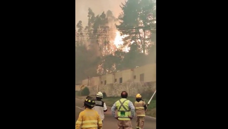 Hogar de ancianos resultó quemado por incendio en Tomé: fuego está cerca de Pesquera Camanchaca por lo que se solicitó evacuar