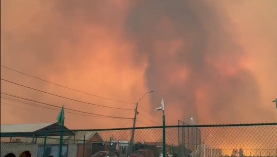 Activan mensajería SAE y solicitan evacuar otros 7 sectores de la comuna de Tomé por incendio forestal