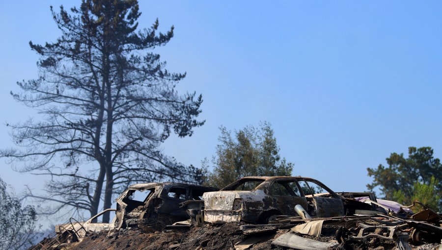 Alcaldesa de Santa Juana pide que el Estado de Catástrofe se extienda a su comuna por incendio: "Nos estamos quemando enteros"