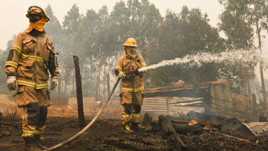 Cerca de 26.300 hectáreas han sido consumidas por incendios forestales en la región del Biobío