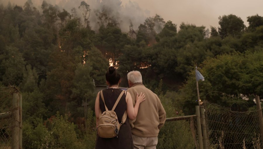 Número de víctimas fatales por los incendios se elevó a 16 según informa Senapred