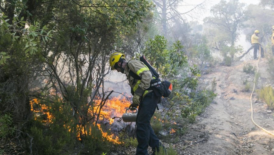 Hombre acusado de causar incendio forestal en Ñuble quedó con medidas cautelares