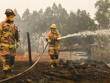 Cerca de 26.300 hectáreas han sido consumidas por incendios forestales en la región del Biobío