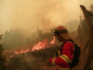 Incendios forestales: Cifra de fallecidos subió a 23 y los lesionados a 979