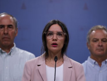 Ministra Camila Vallejo:"El presidente va a viajar al sur, va a tener una agenda allá"