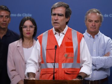 Presidente de Corporación Chilena de la Madera: “Necesitamos que comunas críticas entren en toque de queda”