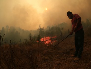 Evacúan por incendios los sectores Bruselas y Perasco en la comuna de Collipulli