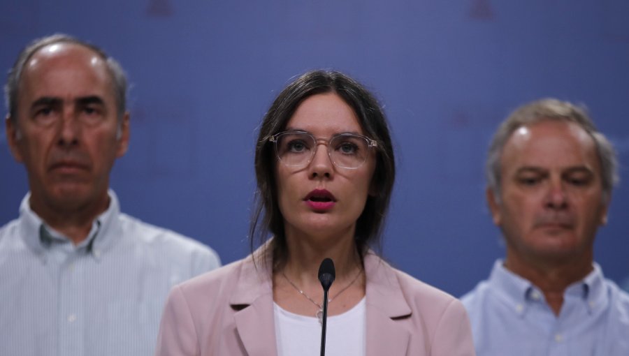 Ministra Camila Vallejo:"El presidente va a viajar al sur, va a tener una agenda allá"