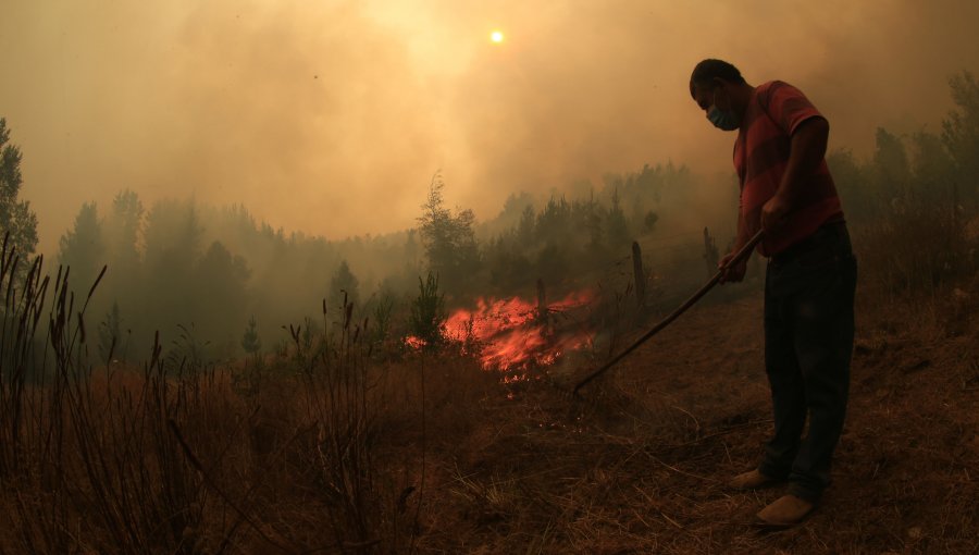 Evacúan por incendios los sectores Bruselas y Perasco en la comuna de Collipulli