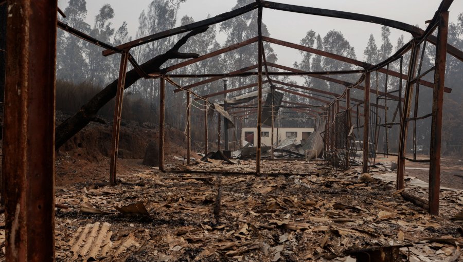 Corporación Chilena de la Madera pide declarar toque de queda en comunas afectadas por incendios forestales