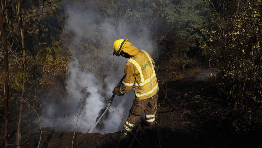 100 hectáreas ha consumido el incendio forestal en sector San Juan de Huinca en San Antonio