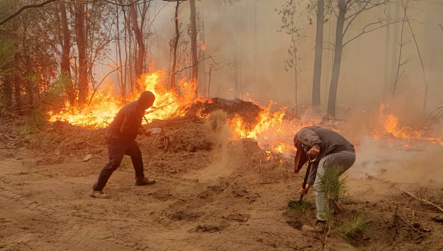 Activan mensajería SAE y solicitan evacuar tres sectores de la comuna de Quillón por incendio forestal