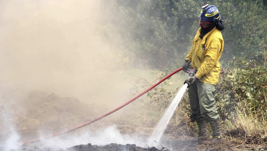 Incendios forestales: tres detenidos por presunta participación en Los Ríos