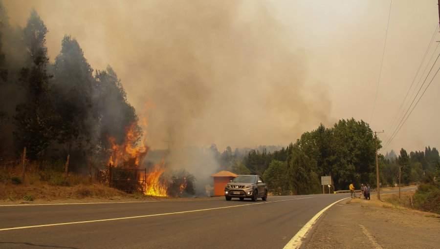 Desplegan brigadas especializadas para encontrar a personas desaparecidas durante incendios en Santa Juana