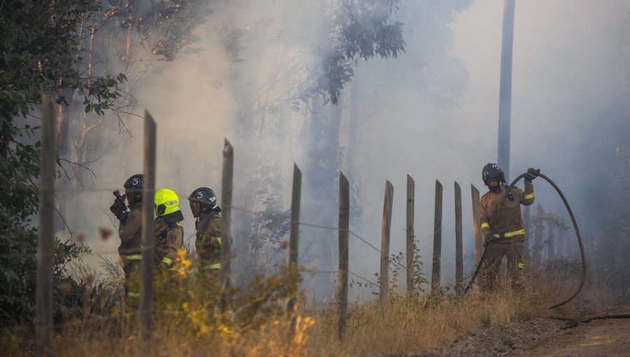 Activan mensajería SAE y solicitan la evacuación de sectores de Tomé, Ránquil y Quillón por incendio forestal