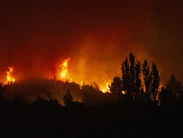 15 personas han sido detenidas por su presunta responsabilidad en los incendios forestales en la zona centro-sur del país