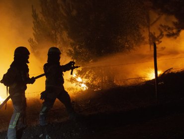 Gobierno entregó a Fiscalía registros de personas iniciando fuego en distintos puntos de la región de La Araucanía
