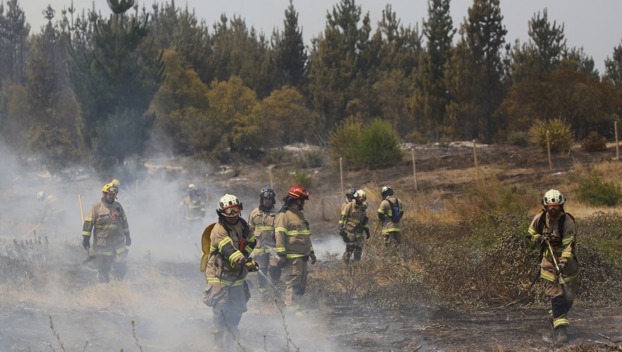 Balance incendios forestales: 82 siniestros continúan en combate, 5.599 damnificados y corrigen la cifra de fallecidos a 24