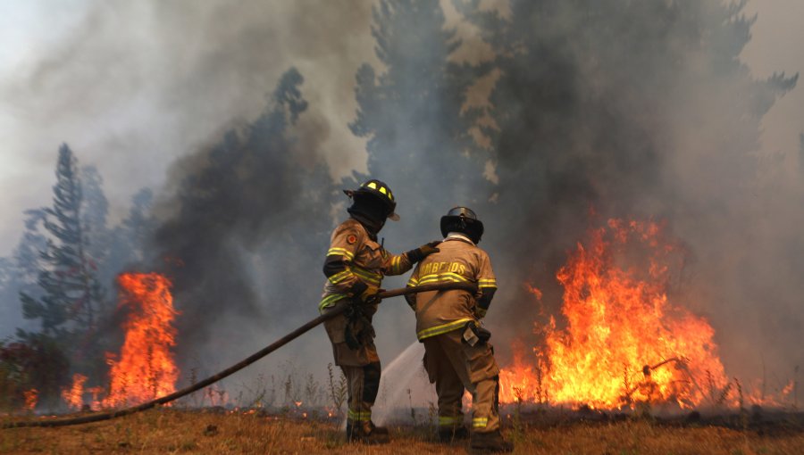 Balance incendios forestales: 24 fallecidos, 84 siniestros en combate, 5.569 personas damnificadas y 1.180 viviendas destruidas