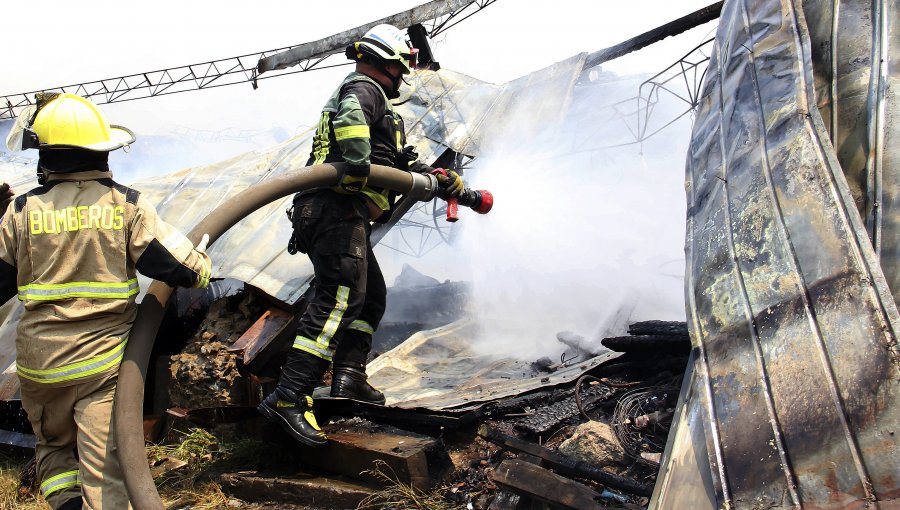 Coordinadora Arauco Malleco descarta participación en incendios forestales en el sur del país