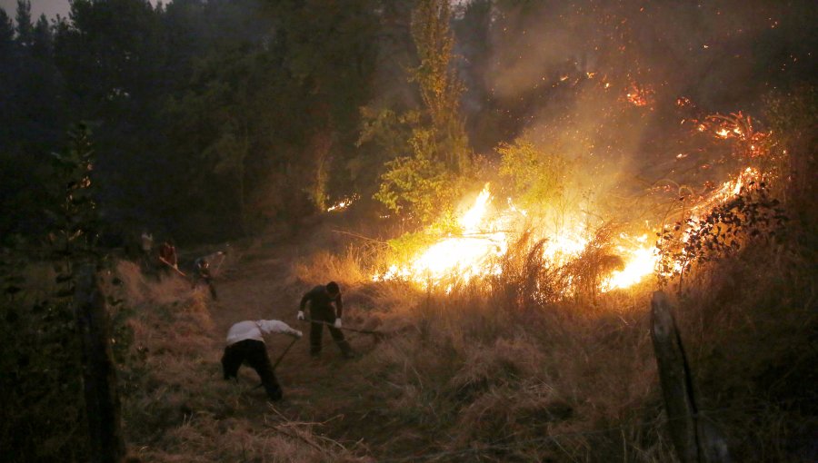 PDI afirma tener 19 órdenes para indagar incendios forestales: "Hemos generado una multiplicidad de grupos investigativos"