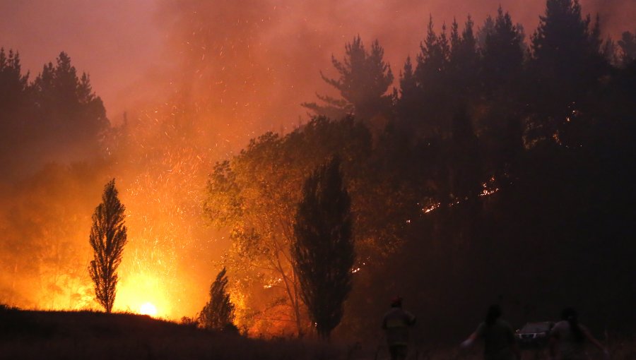 Senadores RN piden fiscal con dedicación exclusiva para investigar incendios: dicen que siniestros son provocados por grupos terroristas