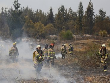 Balance incendios forestales: 82 siniestros continúan en combate, 5.599 damnificados y corrigen la cifra de fallecidos a 24