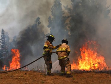 Balance incendios forestales: 24 fallecidos, 84 siniestros en combate, 5.569 personas damnificadas y 1.180 viviendas destruidas