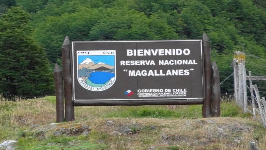 Hombre fue detenido tras haber encendido una fogata al interior de la Reserva Forestal Magallanes