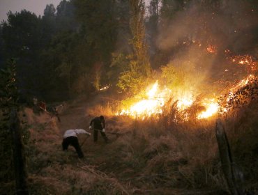 PDI afirma tener 19 órdenes para indagar incendios forestales: "Hemos generado una multiplicidad de grupos investigativos"