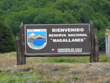 Hombre fue detenido tras haber encendido una fogata al interior de la Reserva Forestal Magallanes