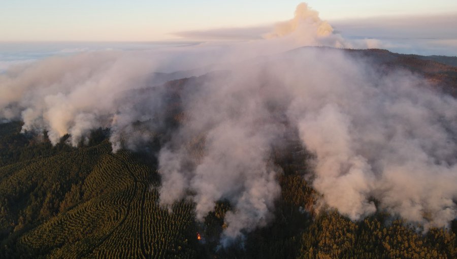 90 incendios forestales se encuentran en combate, 343.748 hectáreas han sido consumidas y cifra de detenidos aumenta a 28