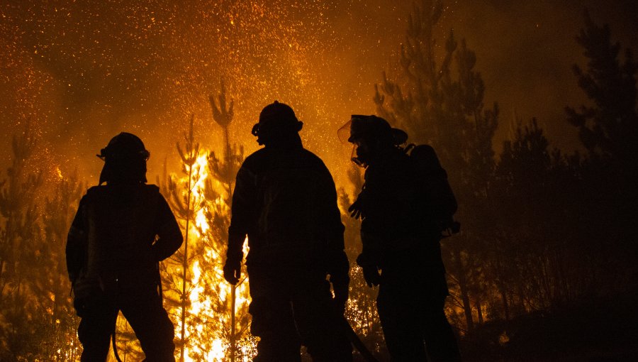 Decretan prisión preventiva para imputado por iniciar un foco de incendio en sector rural de Collipulli