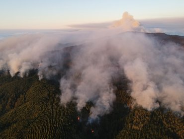 90 incendios forestales se encuentran en combate, 343.748 hectáreas han sido consumidas y cifra de detenidos aumenta a 28