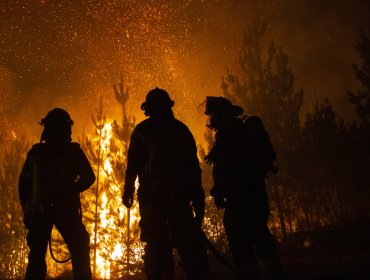 Decretan prisión preventiva para imputado por iniciar un foco de incendio en sector rural de Collipulli