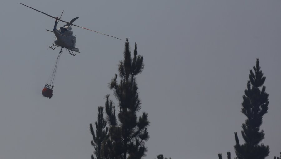 Gobierno identificó a empresario que se negó a entregar agua para combatir incendio forestal en Yumbel