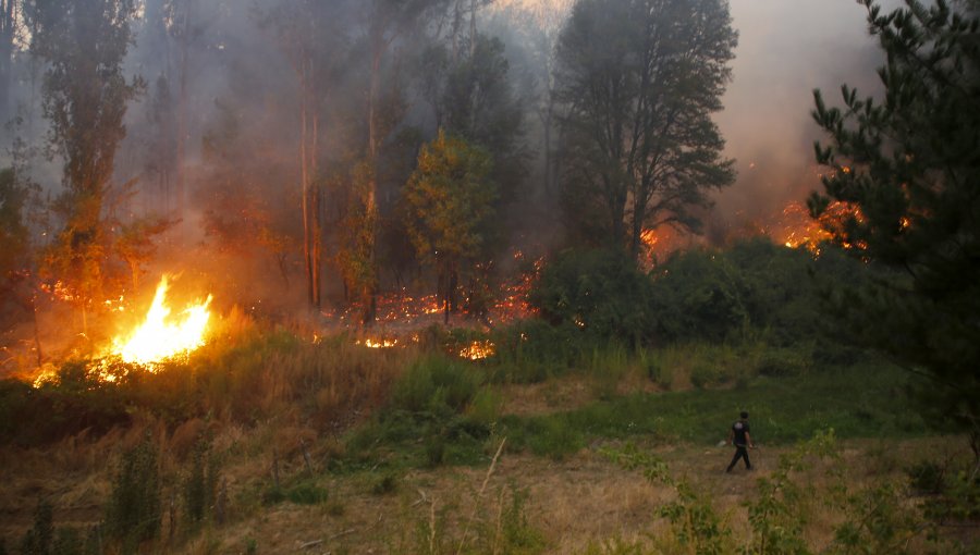 Balance incendios forestales: 94 siniestros se mantienen en combate, 1.250 viviendas destruidas y 373.839 hectáreas consumidas