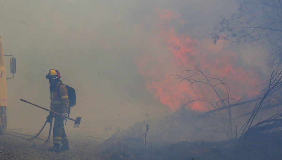 Incendio forestal en Dichato nuevamente se acerca a viviendas: brigadistas que combatían el fuego se tuvieron que replegar