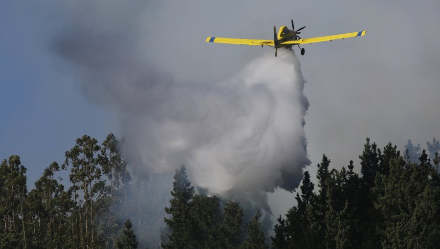 Incendio forestal en Chiguayante se acerca a Parque Nacional Nonguén