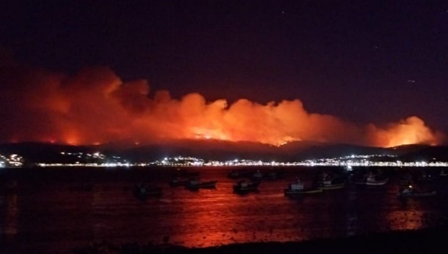 Una noche de terror vivieron vecinos de Dichato por incendio forestal que amenazó sectores poblados del balneario