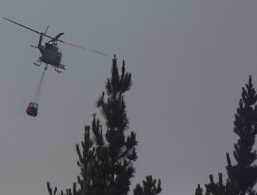 Gobierno identificó a empresario que se negó a entregar agua para combatir incendio forestal en Yumbel