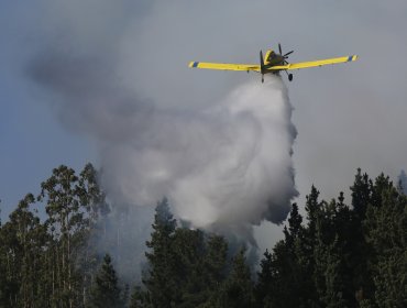 Incendio forestal en Chiguayante se acerca a Parque Nacional Nonguén