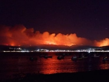 Una noche de terror vivieron vecinos de Dichato por incendio forestal que amenazó sectores poblados del balneario