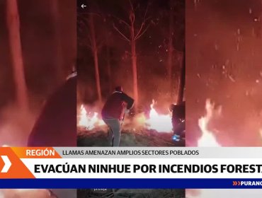 Incendios forestales provocaron evacuación en Ninhue y Portezuelo en la región del Ñuble
