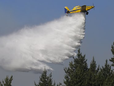 Avión contratado por Conaf capotó en Hualqui mientras combatía incendio forestal