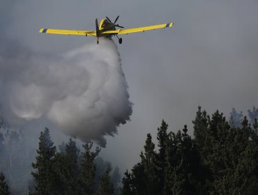 Piloto que capotó en Hualqui está estable y hospitalizado en Concepción