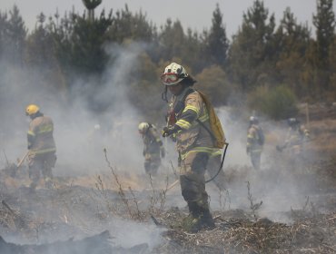 Máquina agrícola en mal estado causó incendio forestal en Panguipulli